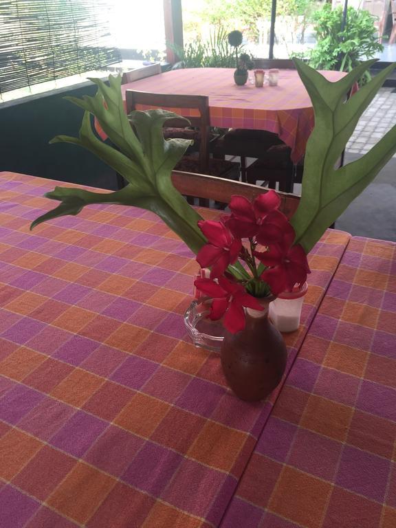 Bolonghes Homestay Негомбо Екстериор снимка